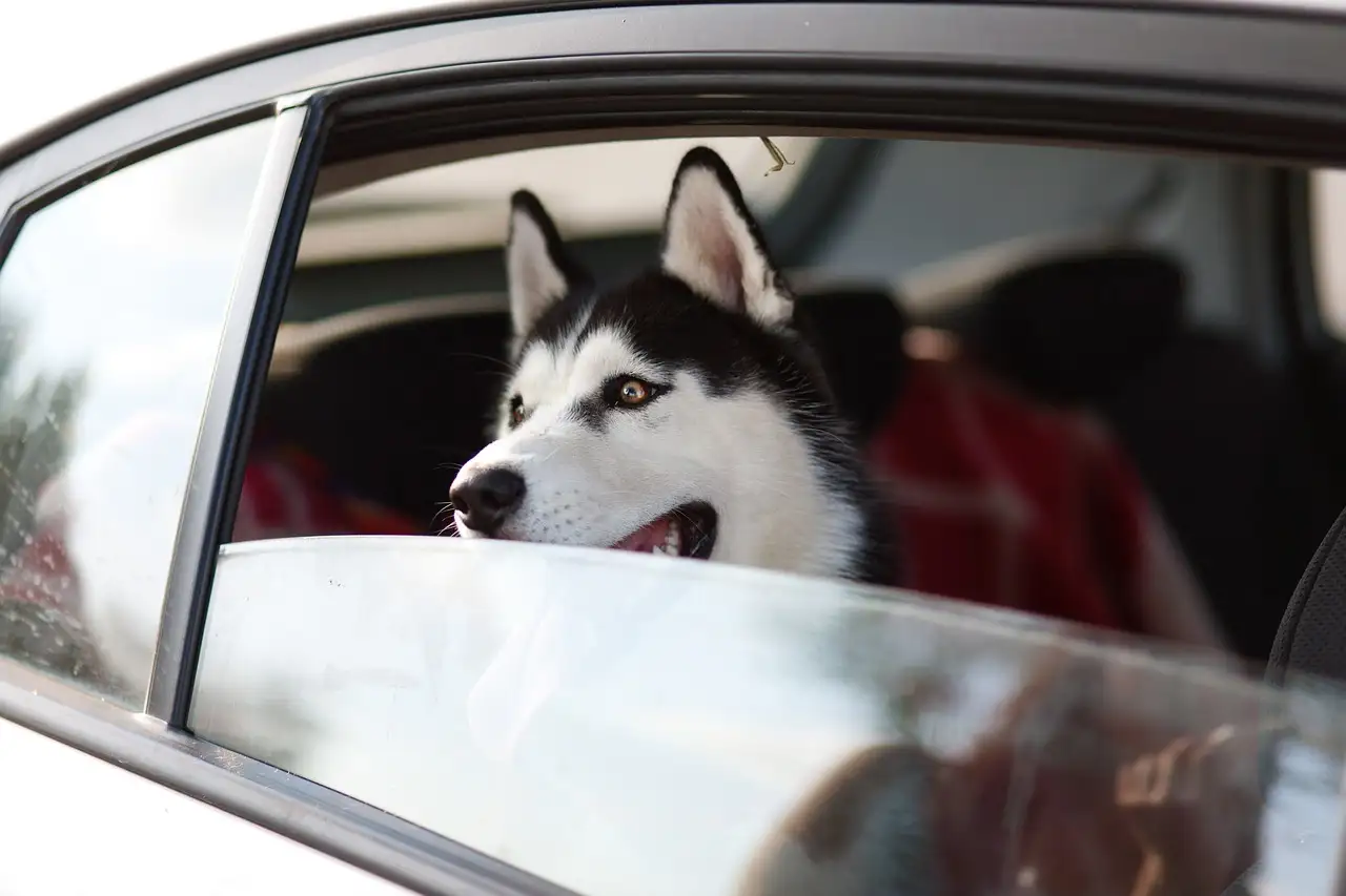 Husky sneeuwkettingen: Veiligheid en grip voor de winter