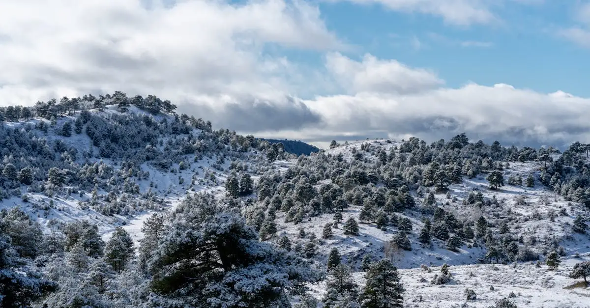 Sneeuwkettingen Hyundai Tucson kopen? Veilig de winter in