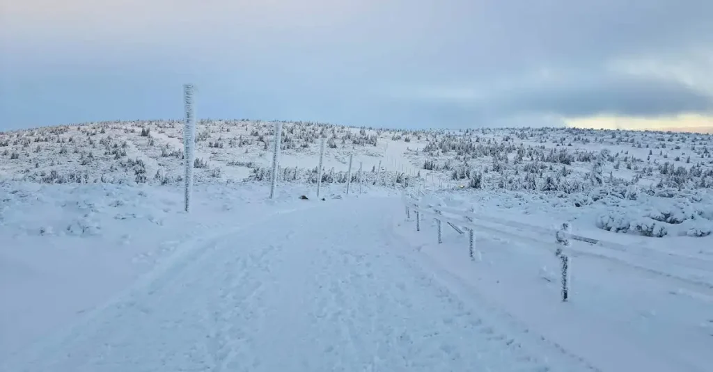 Winterberg krijgt opnieuw flinke laag sneeuw, maar wees alert op de weg
